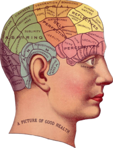 structure and parts of human brain